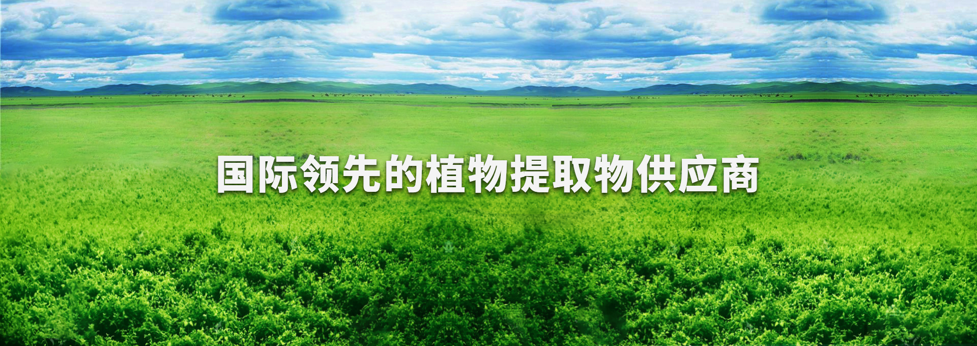 币游·国际(中国游)官方网站