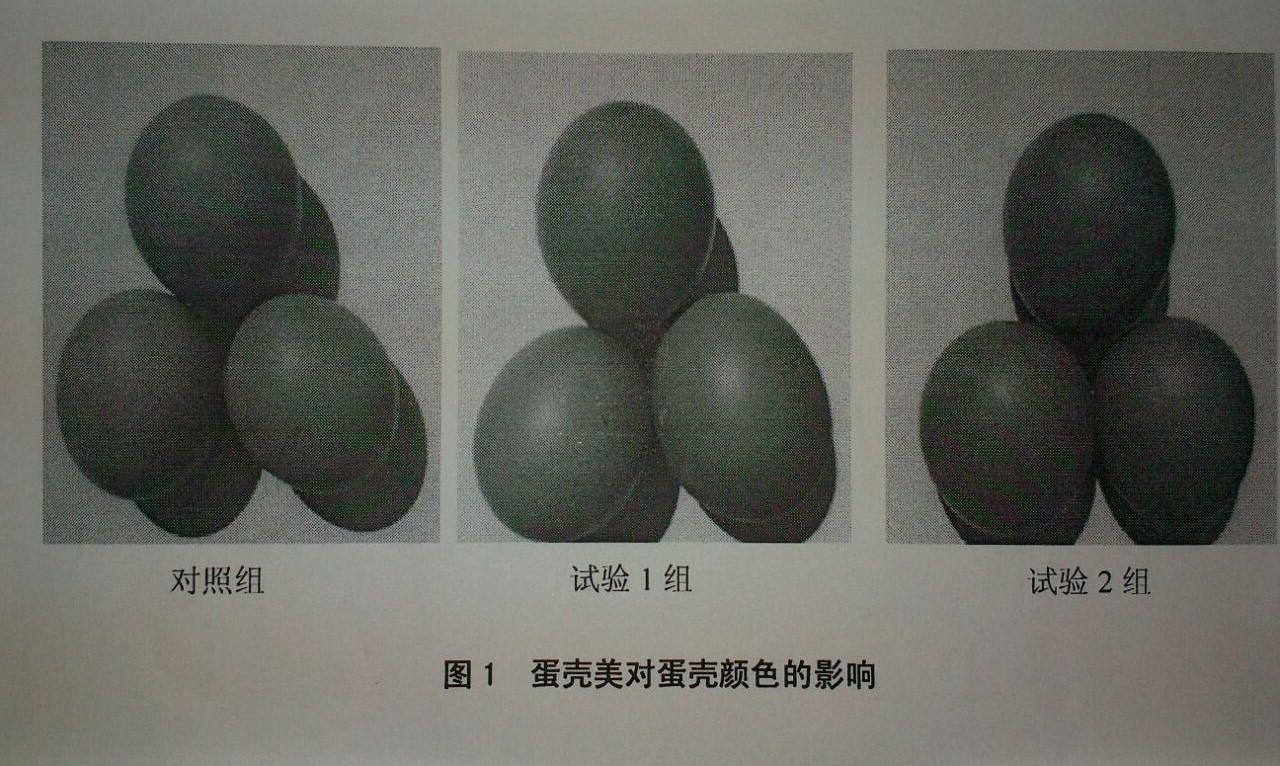 币游·国际(中国游)官方网站