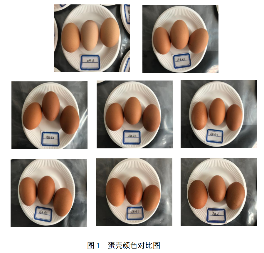 币游·国际(中国游)官方网站