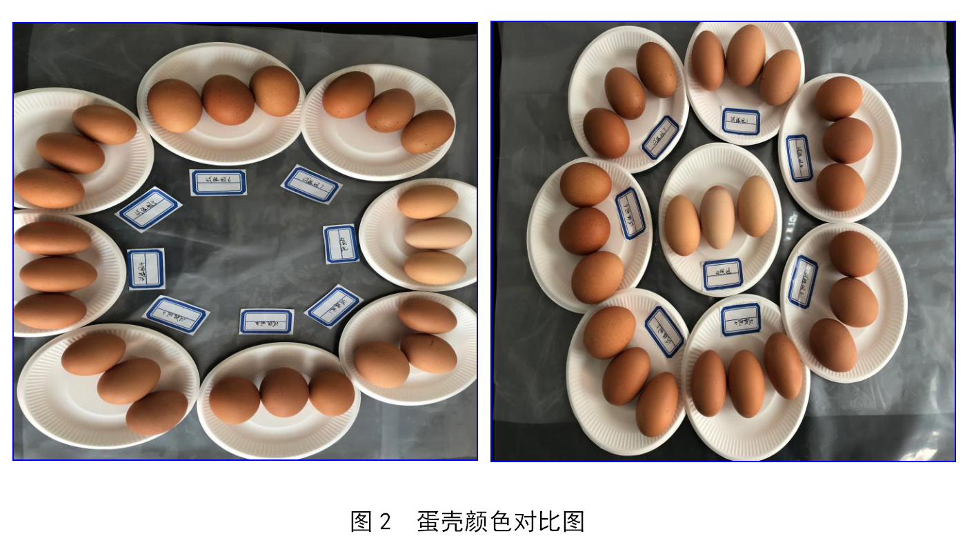 币游·国际(中国游)官方网站