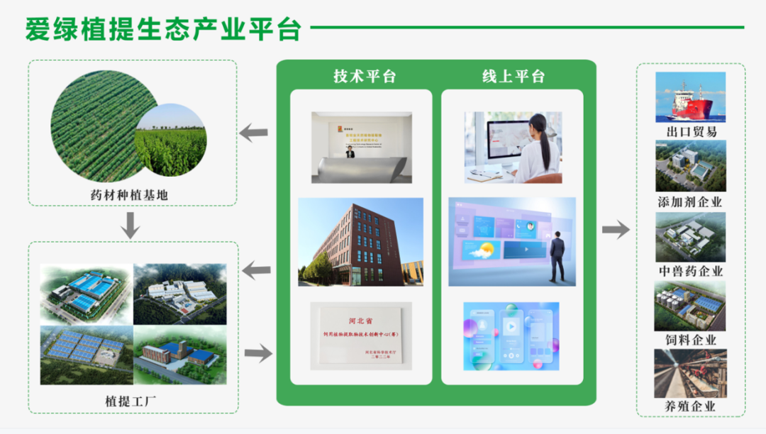 币游·国际(中国游)官方网站
